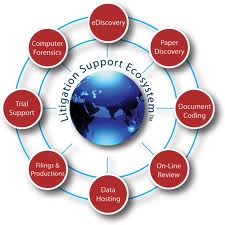 Litigation-support-ecosystem-PDF